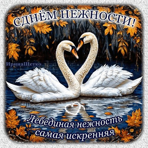 Анимированная открытка день нежности