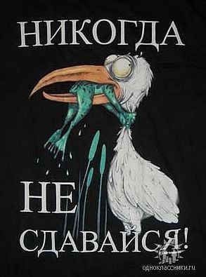 1dc3de69-e483-406d-83a1-468057ba9cf0