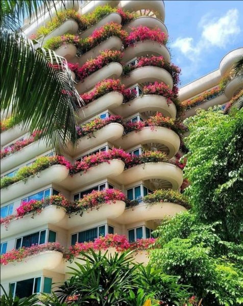 Screenshot 2021-11-13-13-50-24