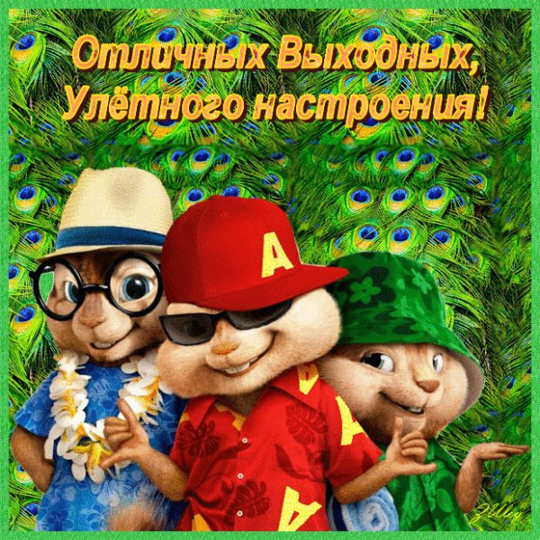 Отличного настроения на выходные!