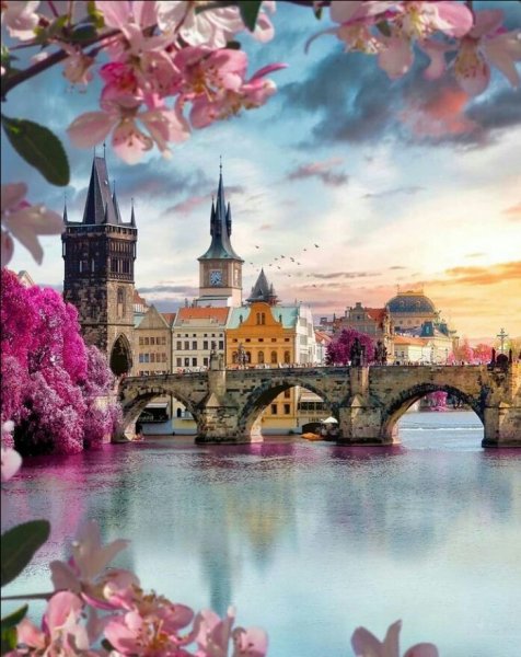 IMG 20220223 111026 515