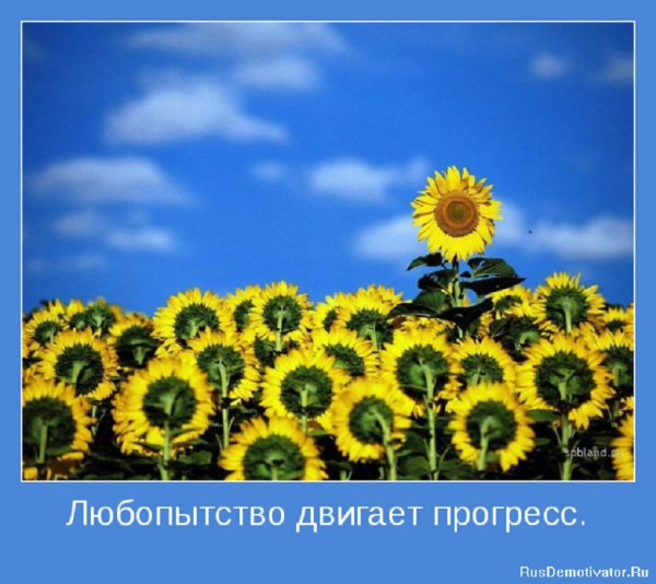 Любопытство двигает прогресс