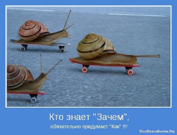 Кто знает зачем...