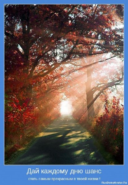 Дай каждому дню шанс...