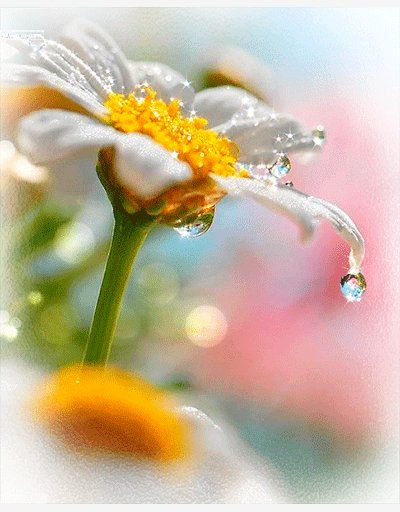 IMG 20161110 215334 44