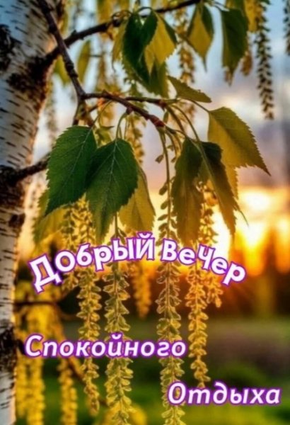 Screenshot 20250526 051253