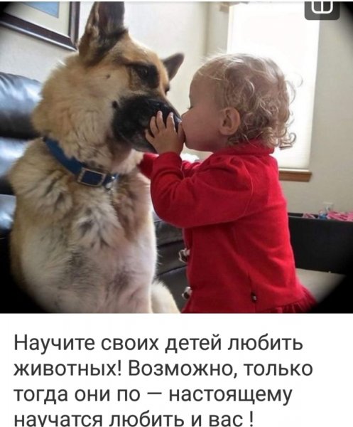 IMG-ae3273779093fb084aa012ce4333a9fd-V (1)