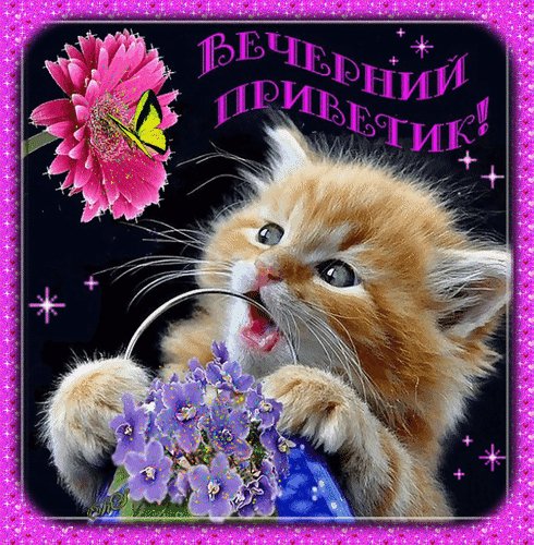 Анимированная открытка вечерний приветик