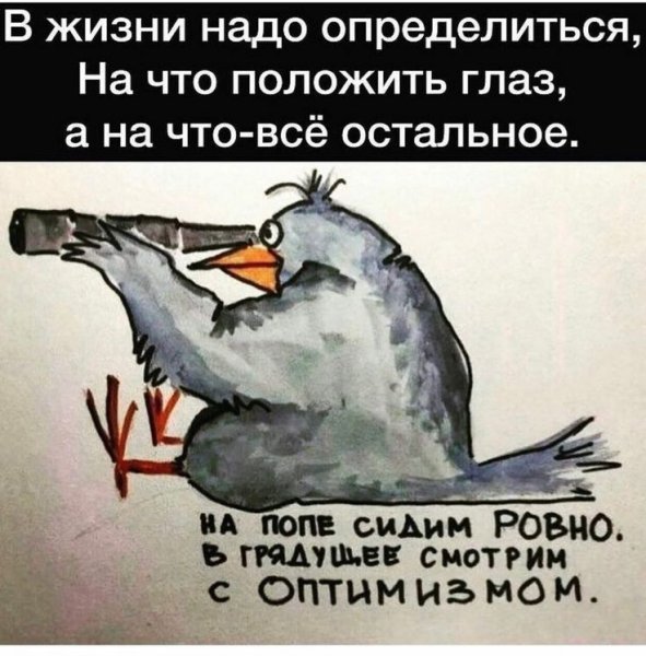 IMG-00efa9f6def71927f34f99fc6447444a-V