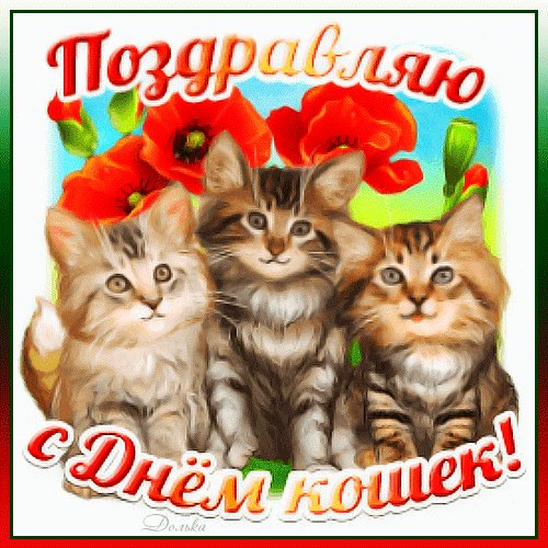 Анимированная открытка с днем кошек