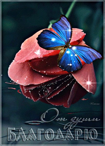 IMG 20160602 142133 0