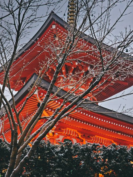 Picsart 25-03-06 17-45-25-454