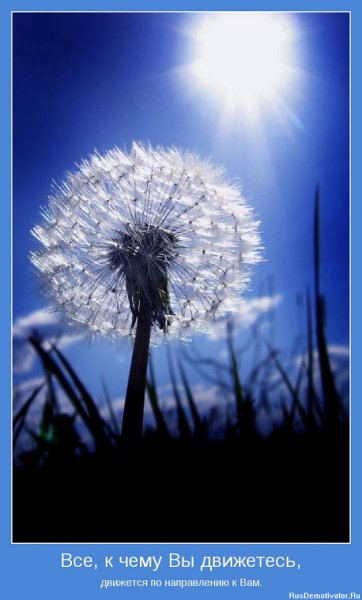 Всё к чему вы движетесь...