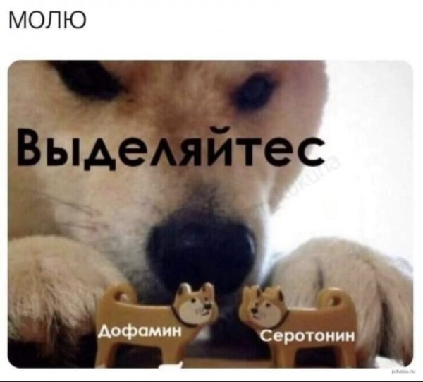 05-21-mixnews-img-7088-768x692