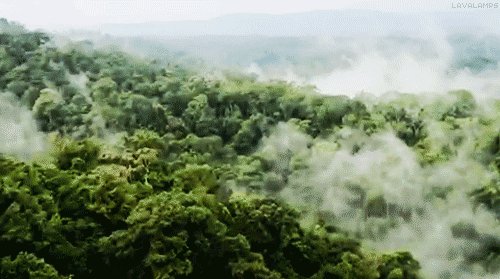 C0aa03a3c9a88c59d6f0feb456479998