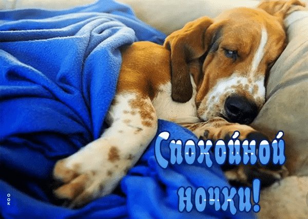 Анимированная открытка спокойной ночи (28)