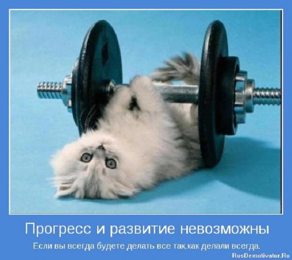 Прогресс и развитие...