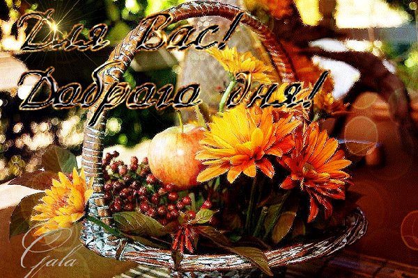 Анимированная открытка для вас доброго