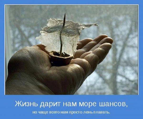 Жизнь дарит нам море шансов