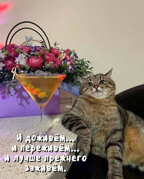 IMG-ffce51e58b9c0e19d6ec1032aa689fa7-V