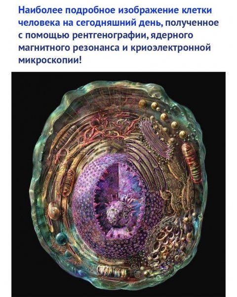 Иной мир в нас