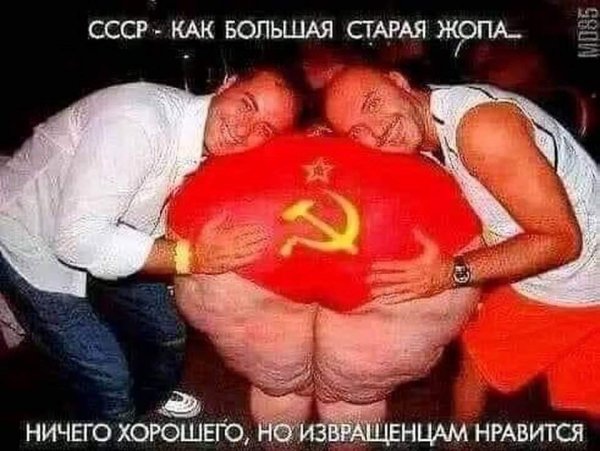 FB IMG 1703683537811