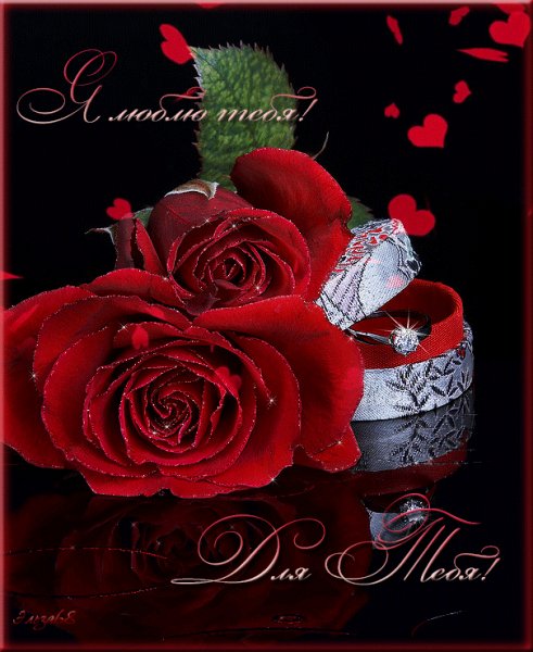 я люблю тебя