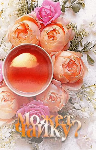 Анимированная открытка может чайку