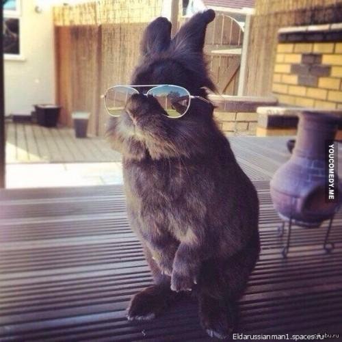 Rammstein - Sonne na sms