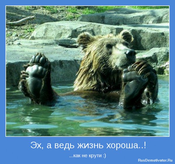 А ведь жизнь хороша!!!