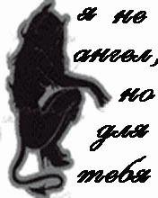 dj slon i angel a Все дельфины в ураган