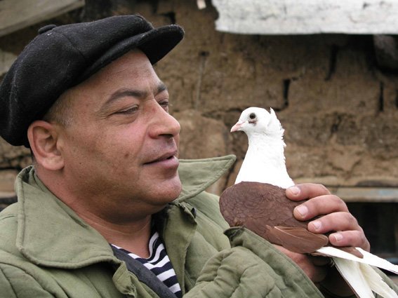 Беломорканал - Прикольчик 3