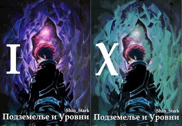 Shin Stark Подземелье и Уровни. Цикл из 10 книг