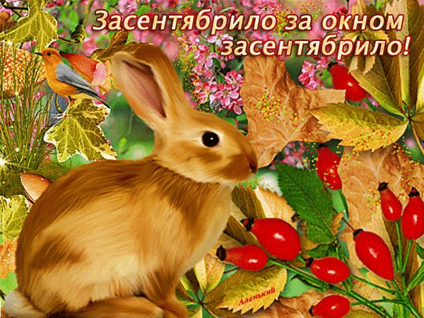 Анимированная открытка засентябрило