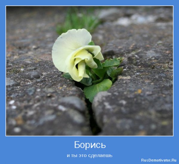 Борись...