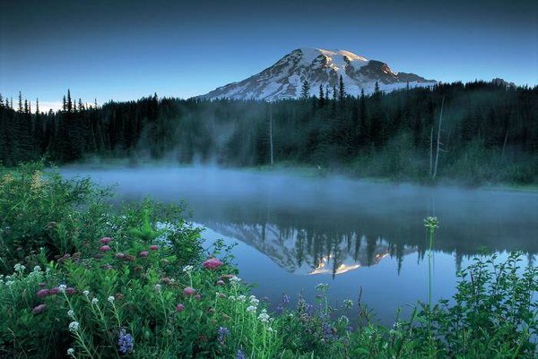 Природа - Дружелюбное курлыкание журавля