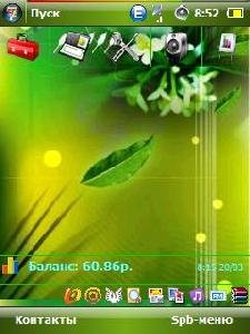 в зеленых тонах