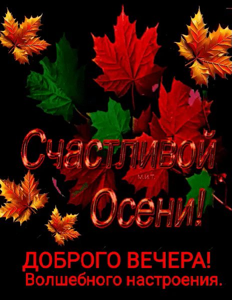 IMG 20251027 211257