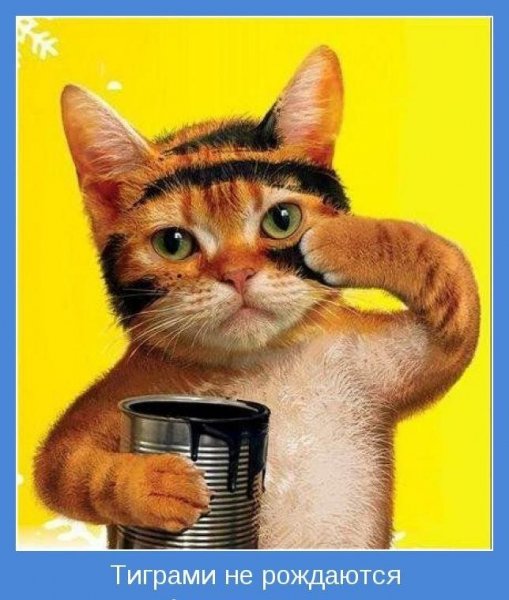 Тиграми не рождаются