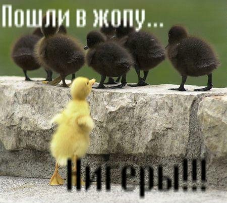 ratmp3-sms-prikolnaja wtuka Dosl-spaces