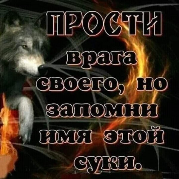 FB IMG 1627249744786