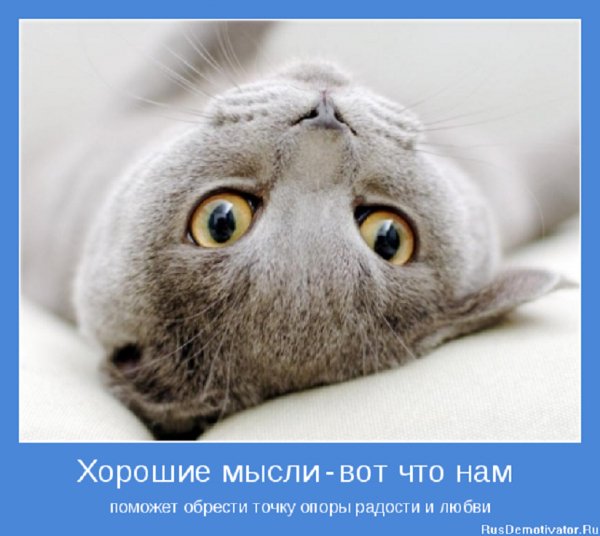 Хорошие мысли