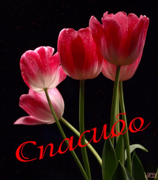 IMG 20160109 223127 0