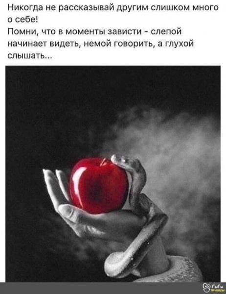 FB IMG 1655032762312