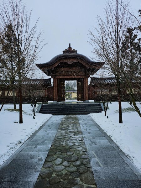 Picsart 25-03-06 18-09-21-157