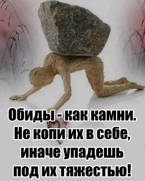 FB IMG 16752428831079120