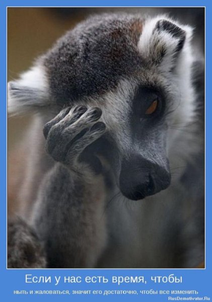 Если у нас есть время...