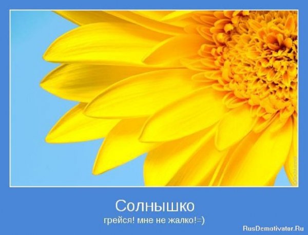 Солнышко...