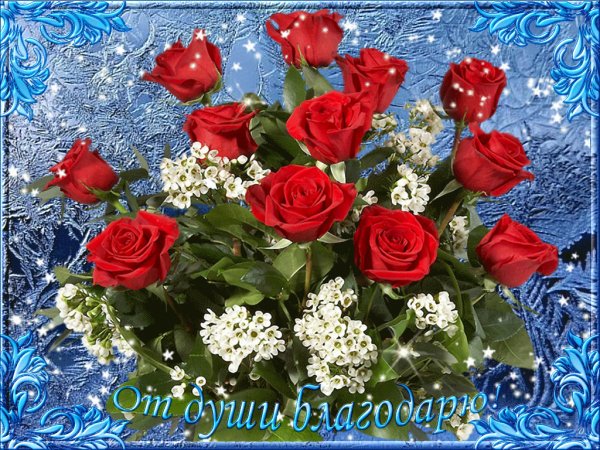 IMG 20151214 162641 26