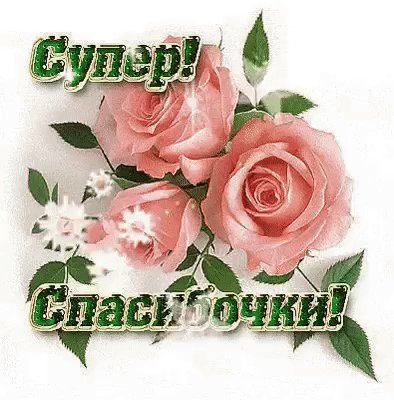 IMG 20170806 132732 0